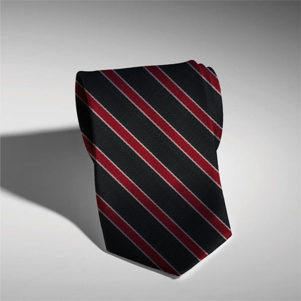 Cravate Homme Soie Bleu Rouge