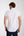 Camisa Hombre Manga corta Iconic Popelin Stretch Blanco