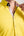 Chemise Homme Donatello Iconic Popelin Stretch Jaune