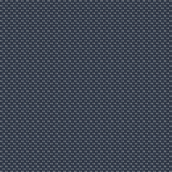 Camicia Uomo Leonardo Sport Denim Blu Bianco