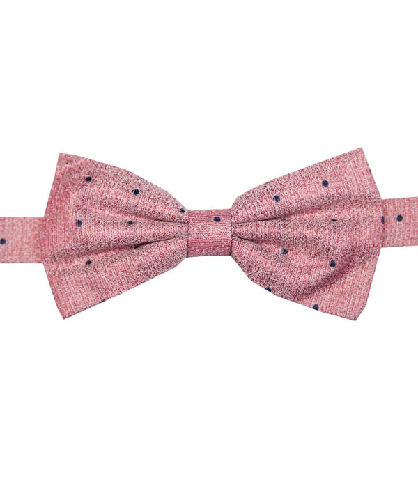 Silk Man Bow tie Pink Blue